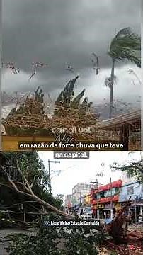 Ventania em São Paulo: 'Rajadas de vento chegaram a 100 km/h', diz Defesa Civil