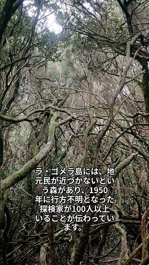 『ラ・ゴメラ島の呪われた森』