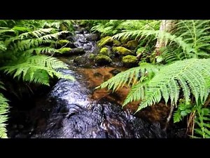 #meditation stream, birds, chimes 🎧Flute Music mix ♫ relax, sleep, meditation 10 hours