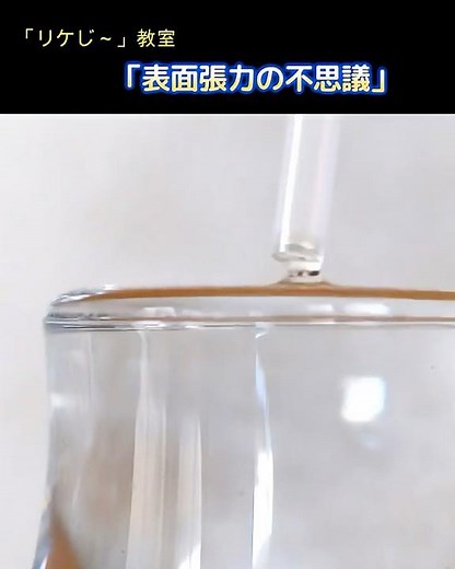 表面張力って子供にどう説明する？ #表面張力 #洗剤 #理科実験 #実験 #孫が可愛い #孫の教育