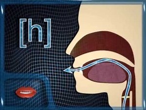 Learn Chinese pronunciation(pinyin) --h (he)