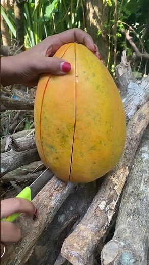 Papaya Viral #papaya