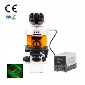 [Hot Item] DIY Microscope Binocular Fluorescence Microscopy Working Principle for Magnification Microscopes