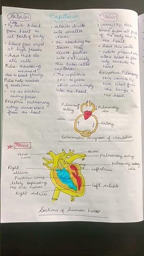 #Science || Class 7 || TRANSPORTATION IN ANIMALS AND PLANTS|| Chapter 7 || NCERT