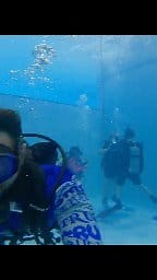 Last week I wondered if I could find a car underwater, pull it out and fix it... Well now im here. Wonder what's next! | Parker's Mobile Mechanics