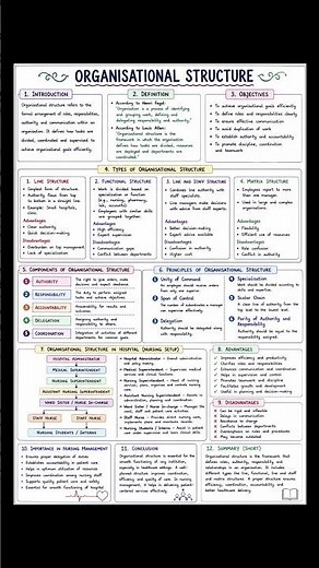 organisational structure and organizational chart notes