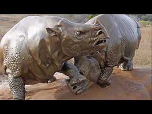 Ashfall fossils come to life