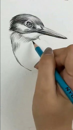 Easy Bird Drawing with Pencil ✏️ Realistic Bird Sketch Step by Step | Shading Tutorial for Beginners