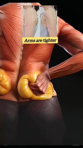 ➡️ One simple exercise at home to significantly slim your belly, strengthen your pelvic floor muscle