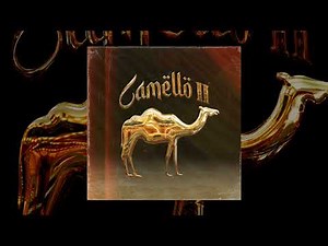 Hijos del Golfo - Camello 2