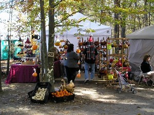 Oak Ridge Festival - Attica, Ohio - My Experience