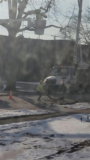 Chopping down a tree! 😢 #scary #love #snow #funny #tree #chop #hangingaround #ouch #axe #sad #death