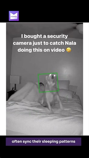 You can tell this is part of her nightly routine 🤣 - (Via: @adventuringwithnala ) | Memes