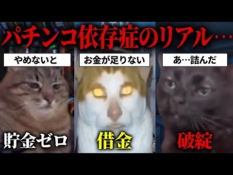 【総集編】借金したパチンコ依存症のリアルな話【猫ミーム・猫マニ】