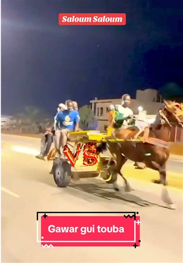 10 mil problem Gawar gui Touba course hippique Senegal hippique mobile horse cheval caballo cavallo troté vs galop#senegal #animal #10milproblem #thiosanesérère #thiosanehalpulaar
