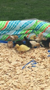 Huntington University on Reels