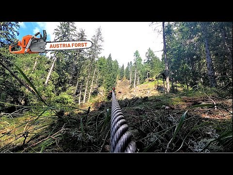 Seilbahn bergauf und Holz fällen