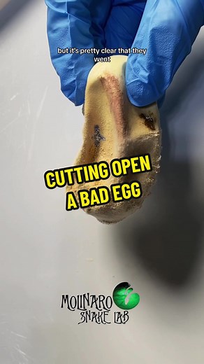 Keary Molinaro on TikTok