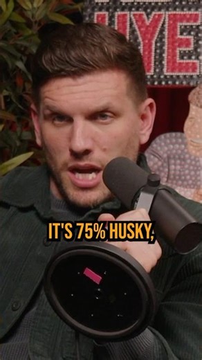 German Shepard Husky Mix | History Hyenas