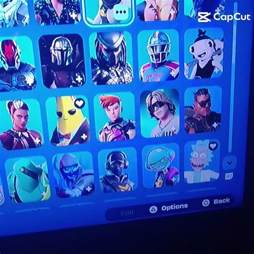 the og renegade raider