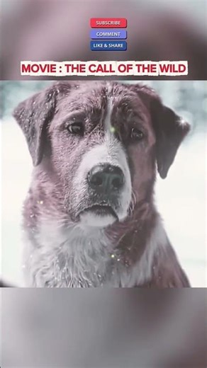 #animals #love #nature #discovery