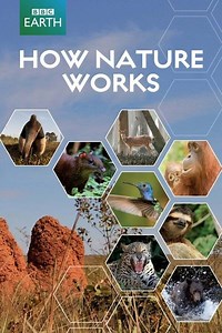 How to watch How Nature Works: The best streaming options
