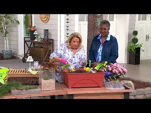 Ultimate Innovations Hori Hori PLUS Multi-function Garden Tool on QVC