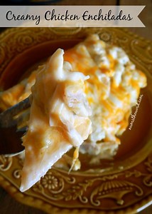 Creamy Chicken Enchiladas