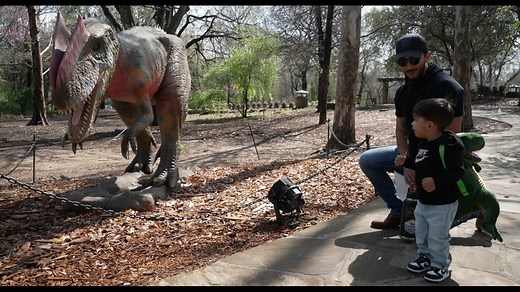 Spring break activities across DFW for kids of all ages