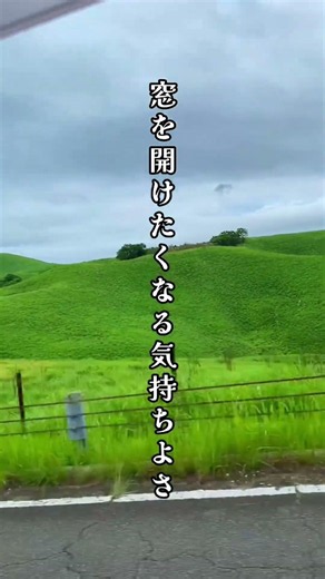 朝の秋吉台が気持ち良すぎた