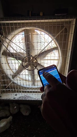 Manutenção de Correia para Exaustor no Aviário