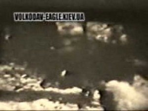 wolfhound vs two wolfs - fight to death