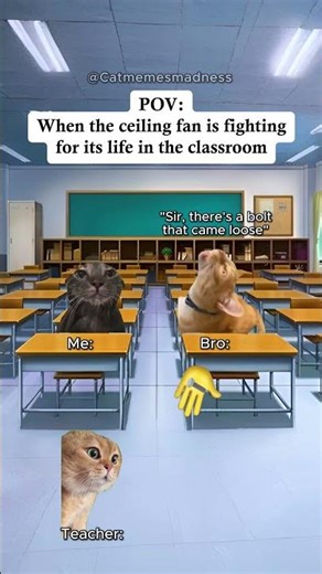 CAT MEMES🐱 When the ceiling fan is fighting for its life in the classroom #catmemes #relatable #fyp