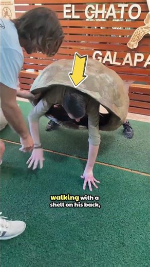 This is the reason why turtles move slowly