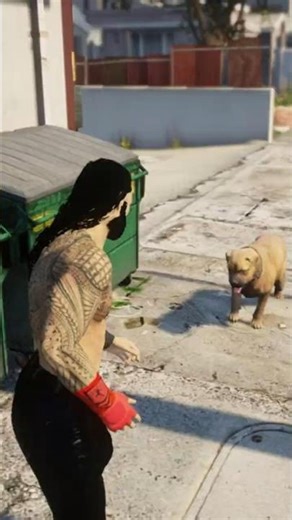 Dog Picked Fight With Roman Reigns 💀