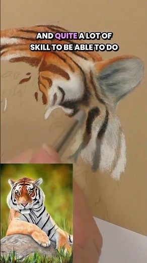 How to Make Tiger Stripes Look Real!