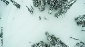 Winter landscape in British Columbia, overhead aerial