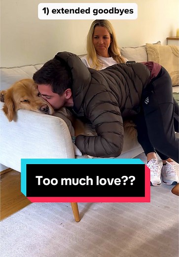 Marley the Golden Retriever: Cuddles and Love