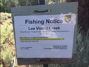 Fishing Lee Vining Creek in the Eastern Sierra 2019 Fly Fishing Hiking