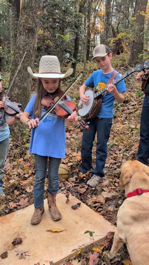 Frankie says to have a blessed and happy weekend! #bluegrassmusic #thebiscuiteaters #doglover | The Biscuit Eaters