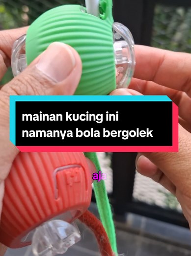 Bola Mainan Kucing Bergerak: Tips dan Rekomendasi