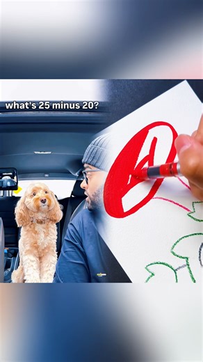 Mini Cockapoo Thinks Before She Counts 😳