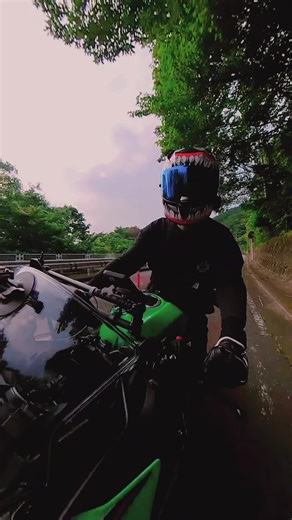 峠道をバイクで楽しむツーリングの魅力