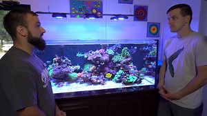 18K views · 525 reactions | Ever wonder how professionals in the aquarium business view flow in a reef tank, and what products/methods they employ? This in-depth review from Mr. Saltwater Tank dives into the methodology used by World Wide Corals, Inc. on one of their display tanks!  [ Subscribe to Mr. Saltwater Tank: https://bit.ly/2Ne40u8 ] | EcoTech Marine | Facebook