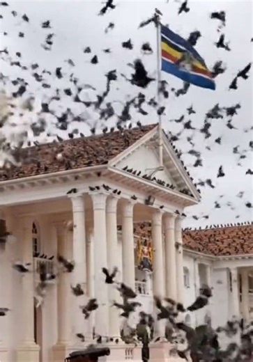 State House Under Siege: A Supernatural Crisis in Kenya