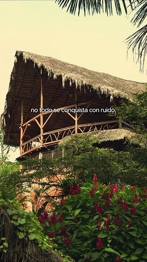 Ceremonia de Ayahuasca en la Selva tropical A solo 1 hora de la ciudad del Tena #ayahuasca #yage #ritual #ceremonia #shaman