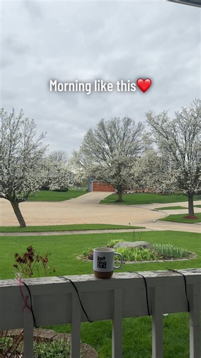 Spring Blossom in Ohio: A Beautiful Spring Morning