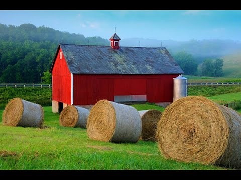 Here's why barns are painted red