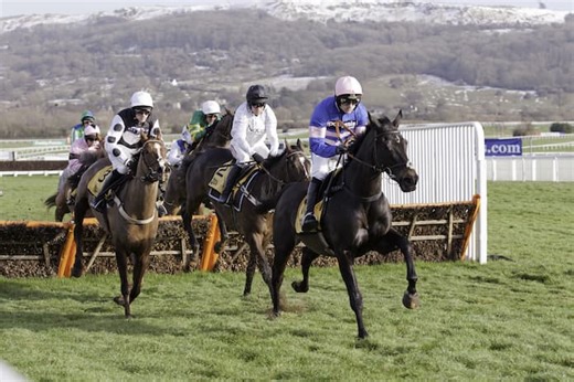The Best 2025 Cheltenham Festival Races For Favourites?