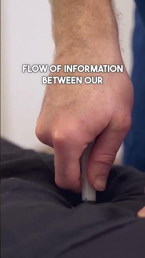 Understanding Trigger Point Therapy for Stress and Optimal Performance